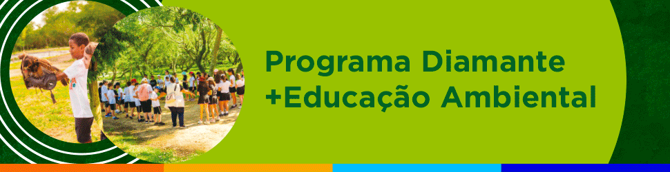 Publicidade personalizada 286