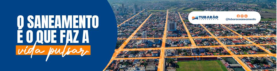 Publicidade personalizada 311