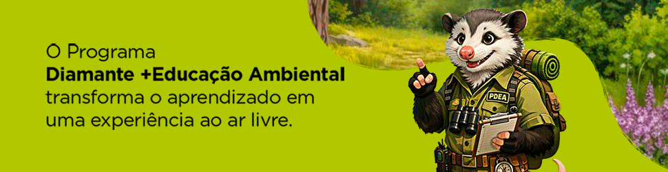 Publicidade personalizada 355